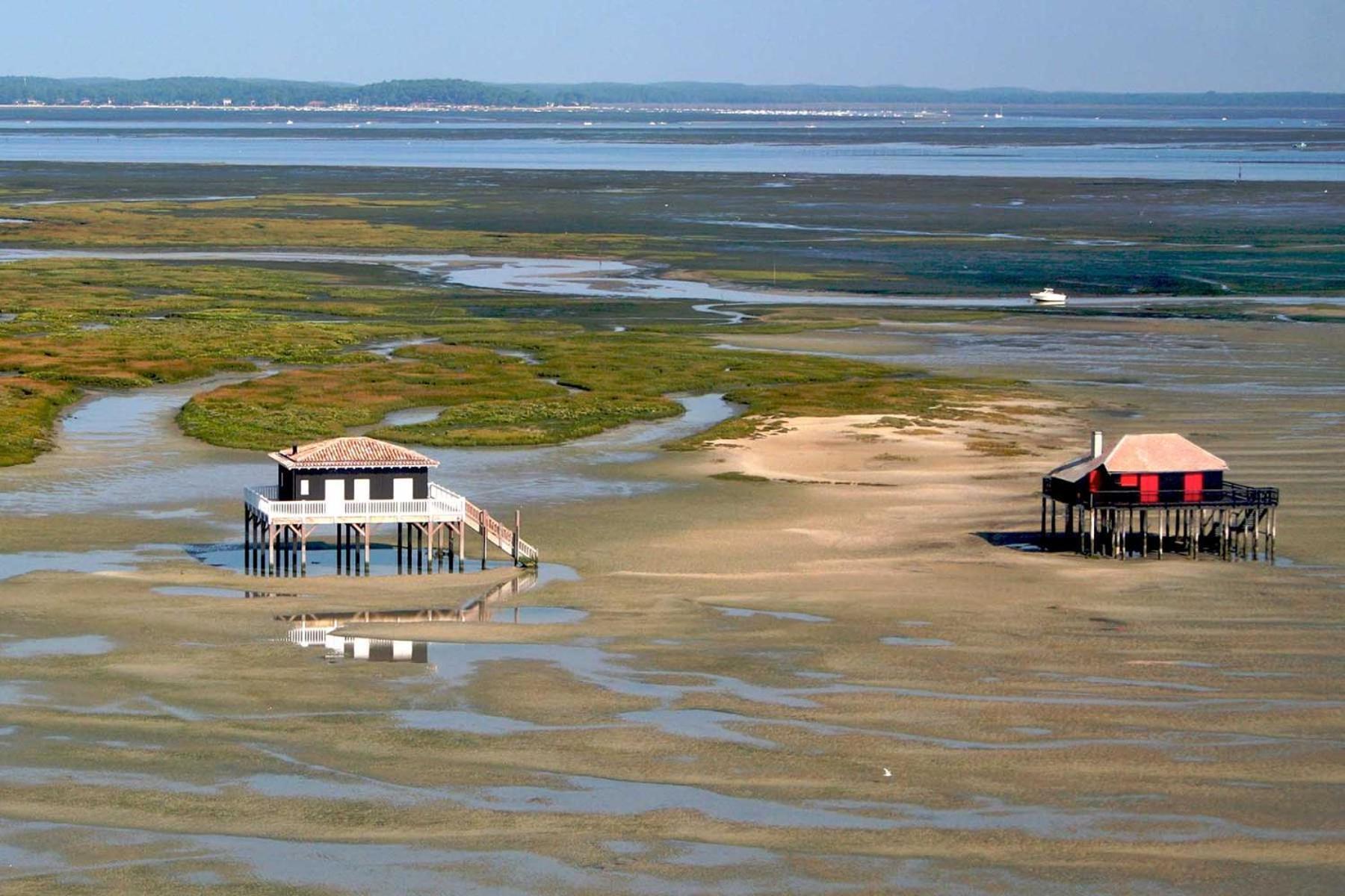 Un Toit Sur Le Bassin Claouey Hotell Lège-Cap-Ferret Eksteriør bilde